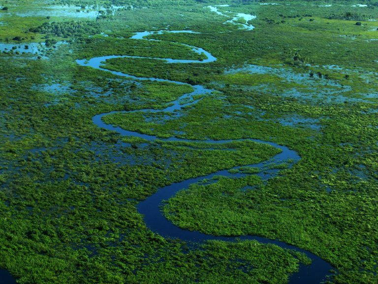 Pantanal-brasil-ecosistema-unico
