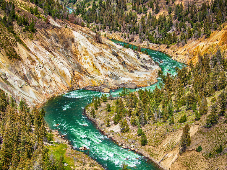 recuperacion-yellowstone-reintroduccion-del-lobo