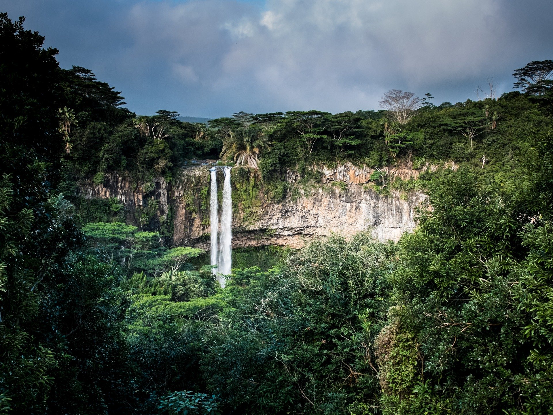 selva paraíso global