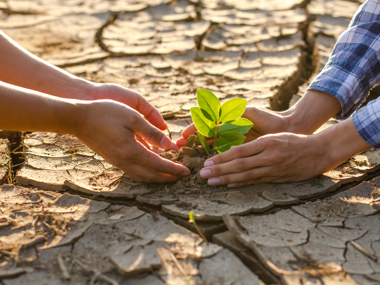 Una-vida-en-nuestro-planeta