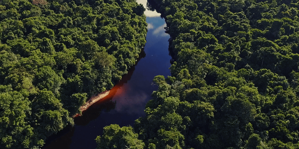 La biodiversidad permite que la Naturaleza sea productiva, resiliente y adaptable. De la misma manera que la diversidad dentro de una cartera de activos financieros reduce el riesgo y la incertidumbre.