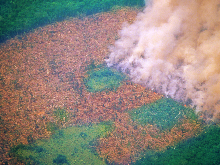 Arde-Media-colombia-los-devastadores-efectos-sore-la-vida