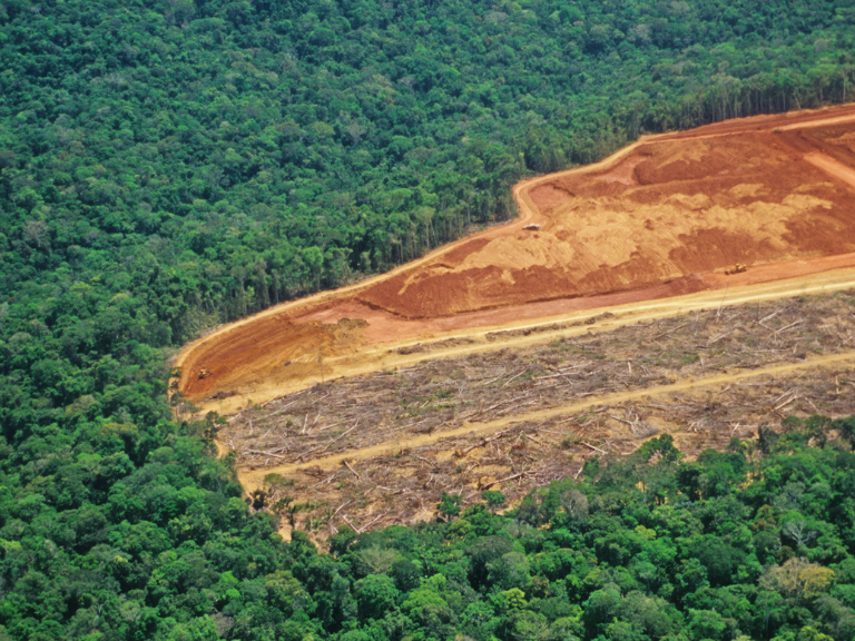 Arde-media-colombia-El-Rol-de-la-Selva-Amazonica