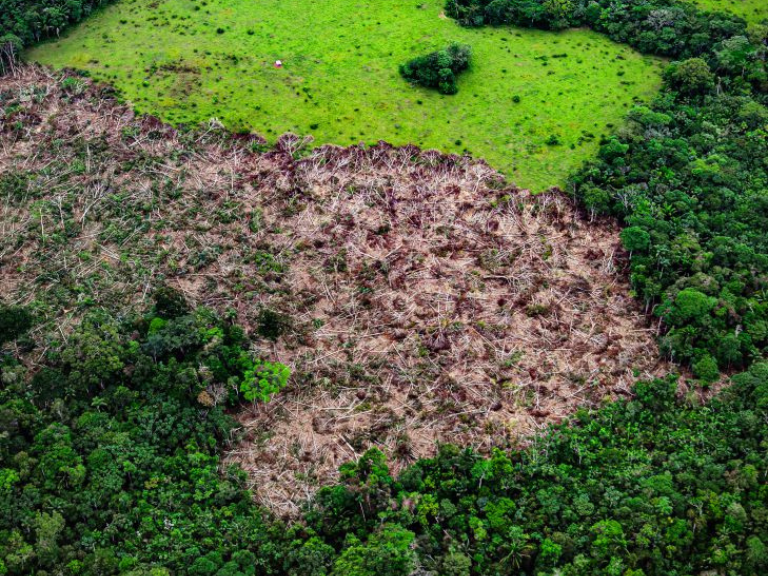 Colombia-arde-en-llamas-y-el-Presupuesto-es-insuficiente-para-impedirlo