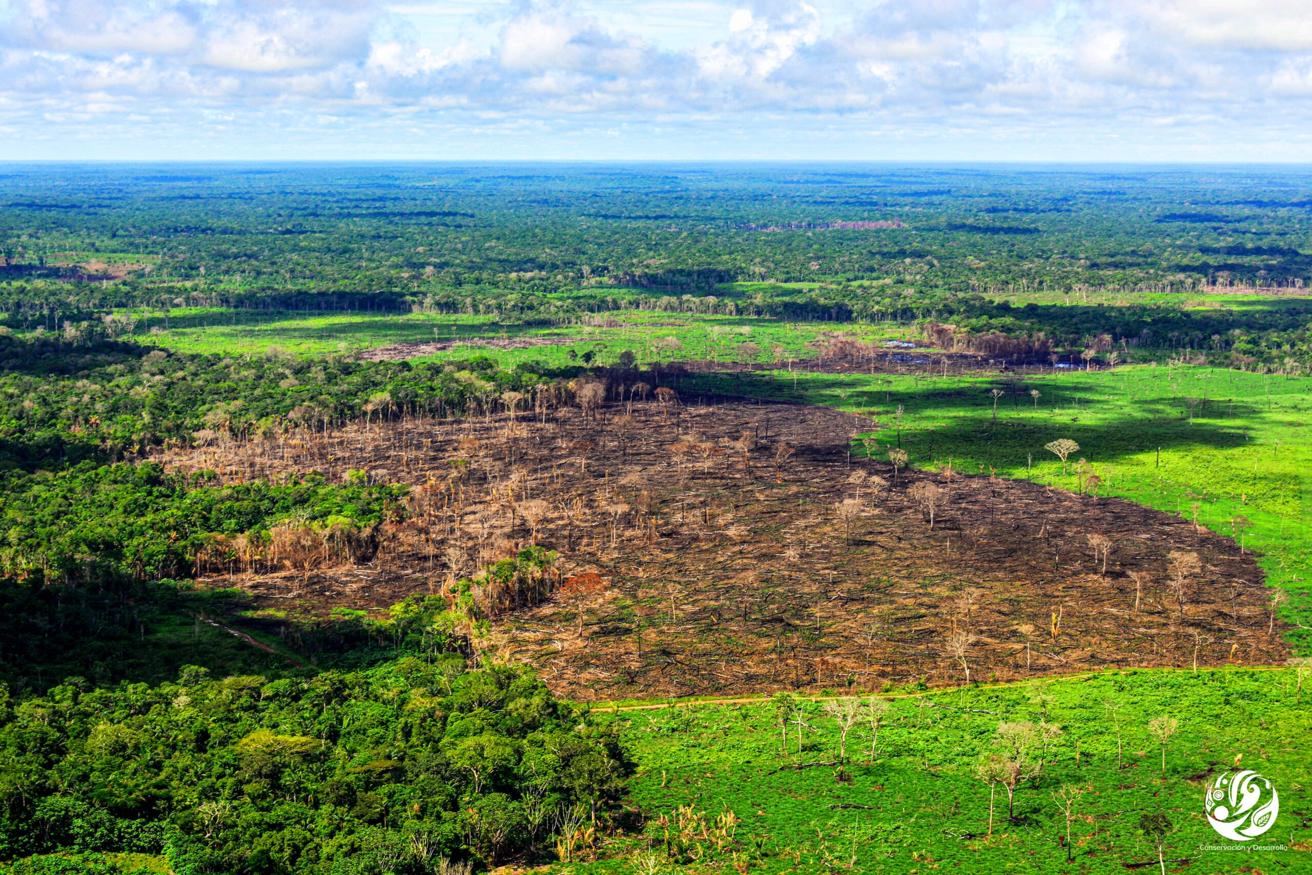 Colombia-en-llamas-los-rios-voladores-de-humo