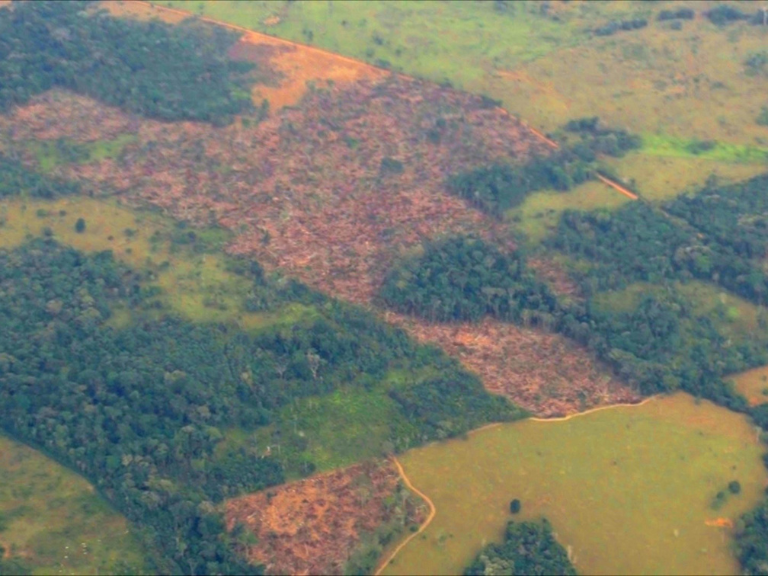 Hectareas-deforestadas-en-laa-amazonia-Nukak-condenados-a-desaparecer