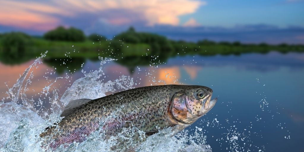 Imagen de referencia, es posible que no coincida con la especie del artículo