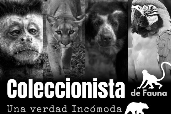 Portada Especial