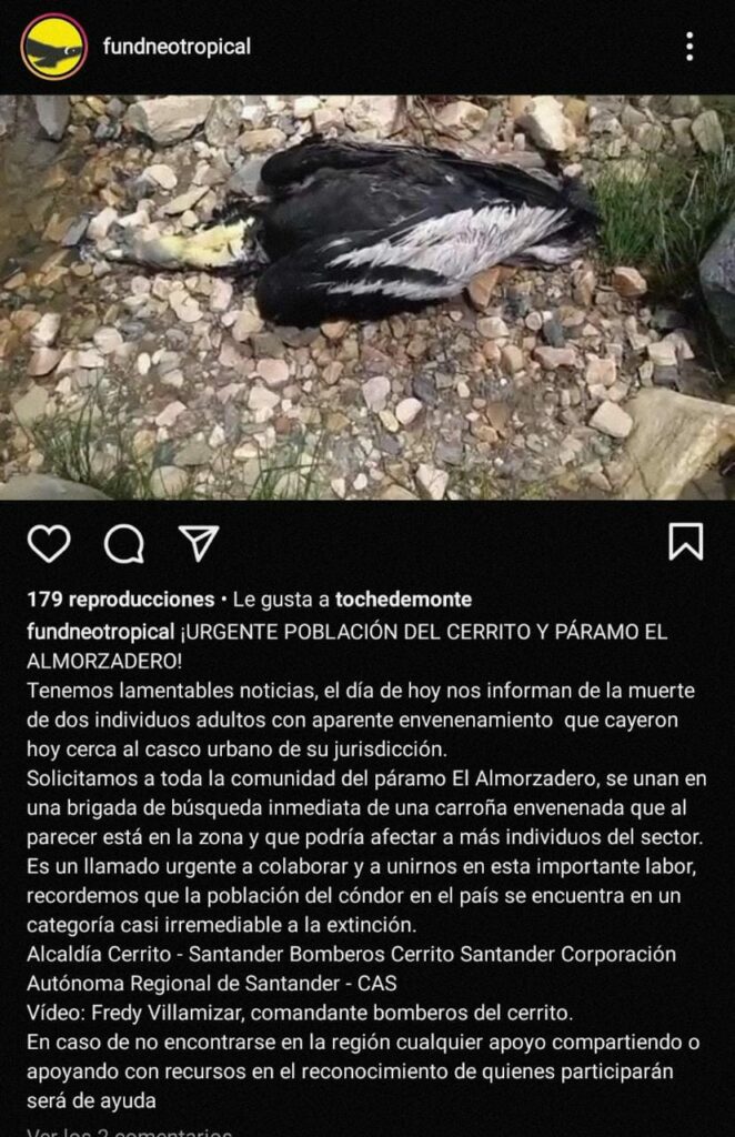 Anuncio realizado por la Fundación Neotropical