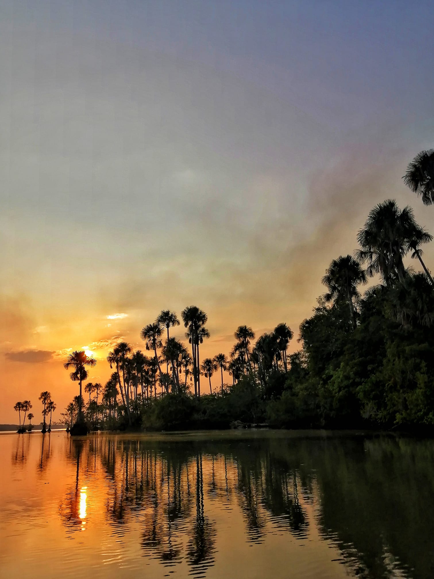 Paisaje llanos orientales morichales Foto Fundación Cunaguaro