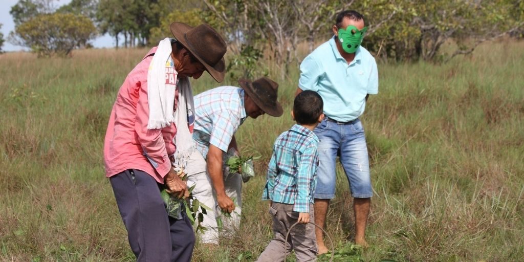 La educación ambiental como estrategia para la conservación.