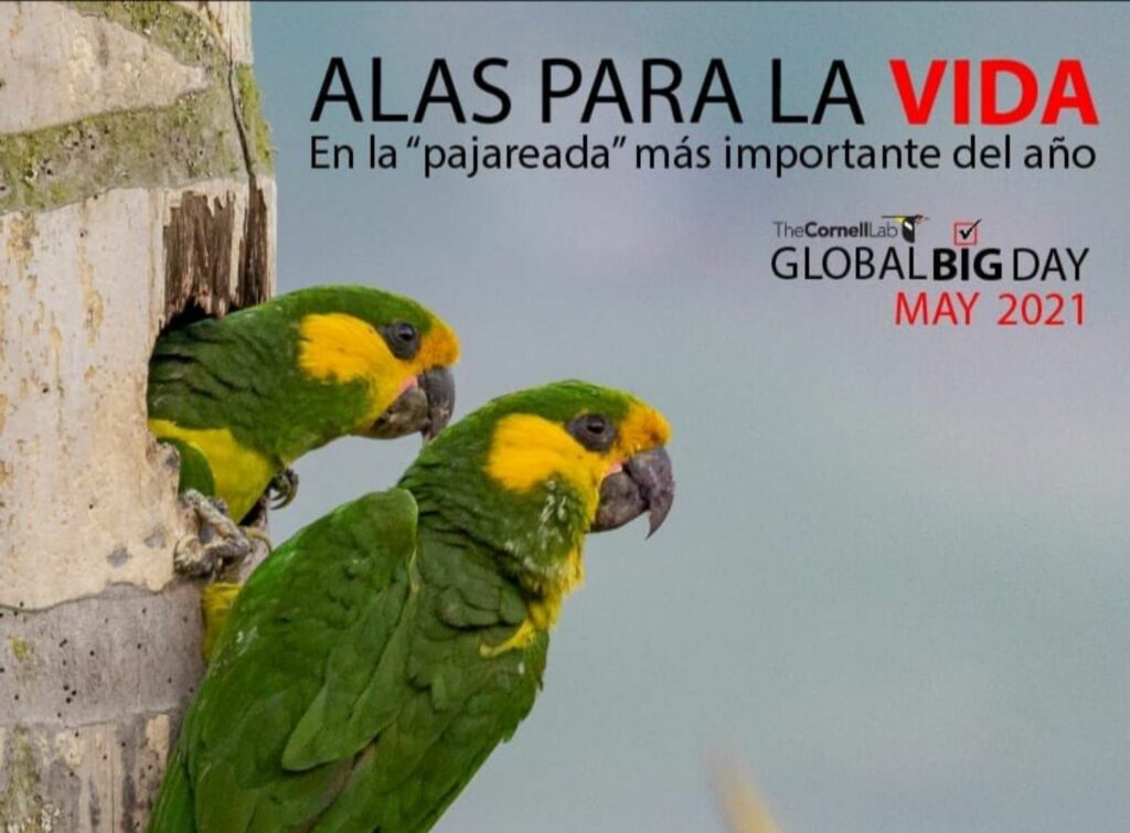 Global Big Day 2024 Colombia Schedule Reeta Celestia