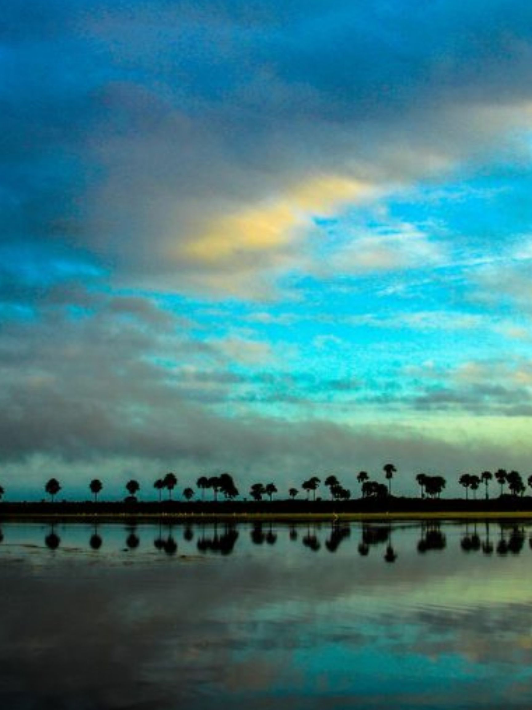 Paisaje llanos orientales Foto Fundación Cunaguaro
