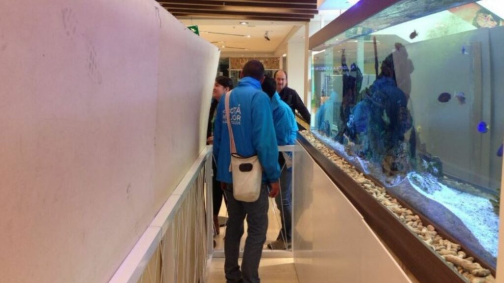 Los peces fueron decomisados y sacrificados por la Secretaria de Ambiente en el año 2017.