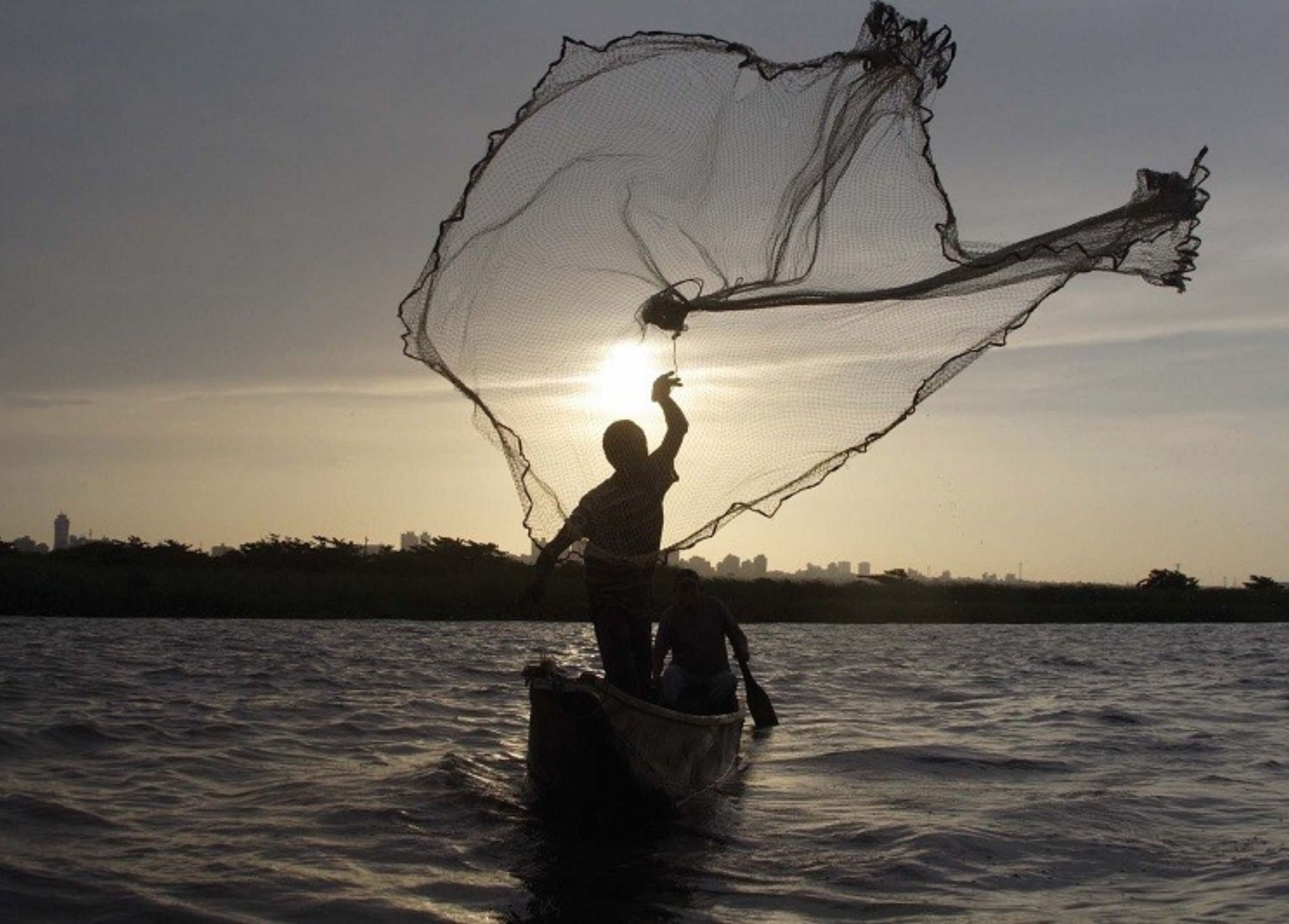 Apareció el Trasmallo y Todo lo Cambió - Natural Press