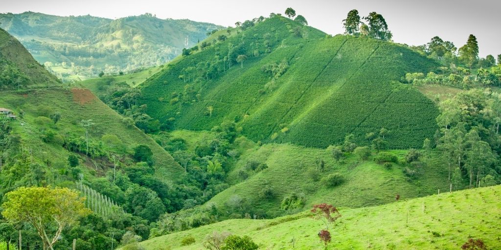 La explotación de Quebradona se haría sobre el 2.4% del territorio de Jericó Antioquía