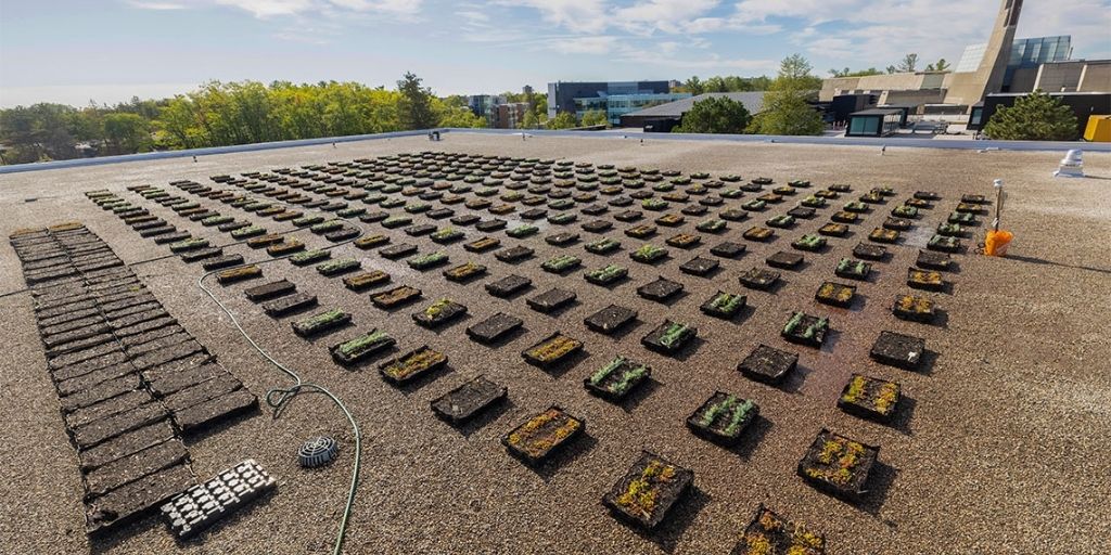 This past summer 300 modules were tested on the roof of Highland Hall (Photo by Don Campbell)