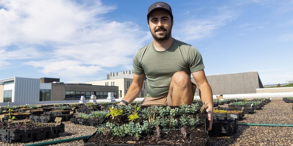PhD student Adriano Roberto harvests crops and records data from one of the green roof modules on top of Highland Hall (photo by Don Campbell)