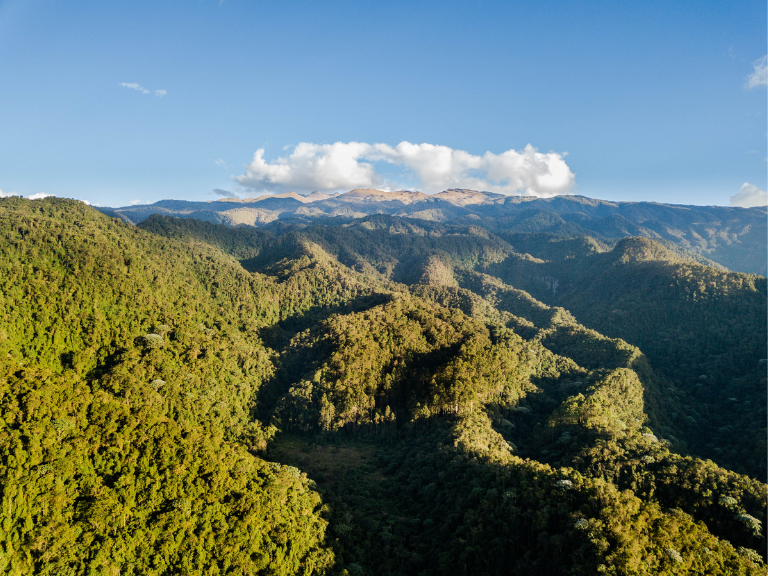 Explorando-la-Diversidad-del-Choco-Biogeografico