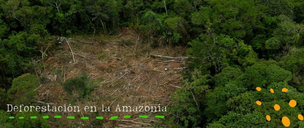 Deforestación en la Amazonía.