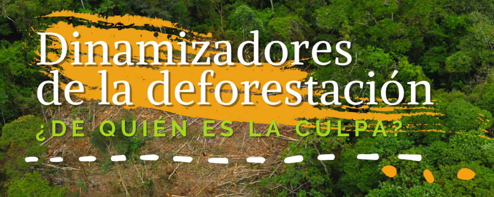 Dinamizadores portada