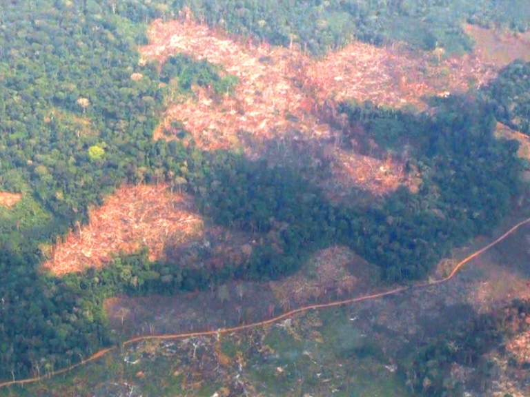 amplias-zonas-devastadas-por-la-deforestación-en-chiribiquete