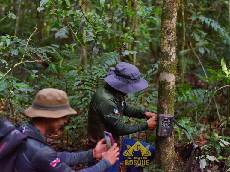 Guardianes del Bosque monitoreo con cámaras trampa