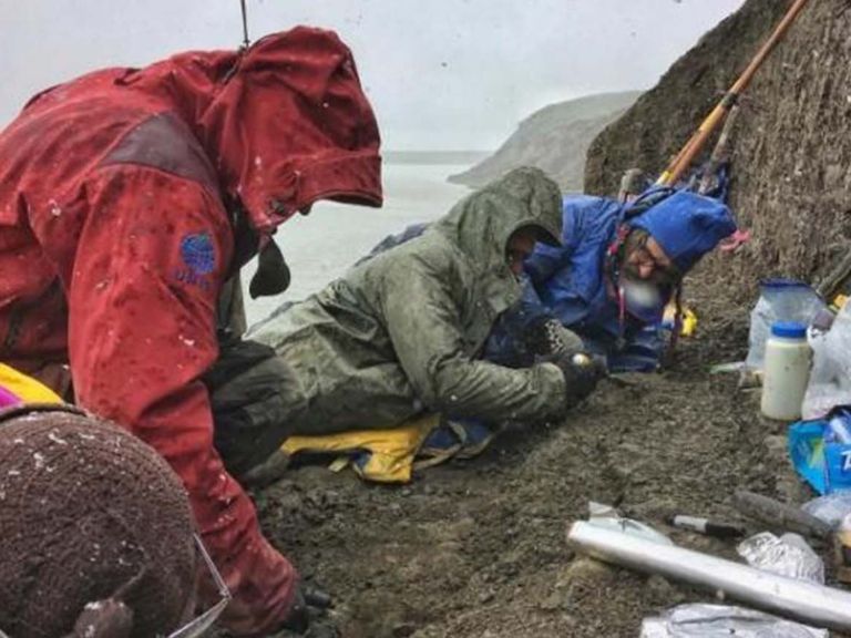 Un equipo de paleontólogos excava a lo largo de las orillas del río Colville en el norte de Alaska. (Crédito: Kevin mayo)