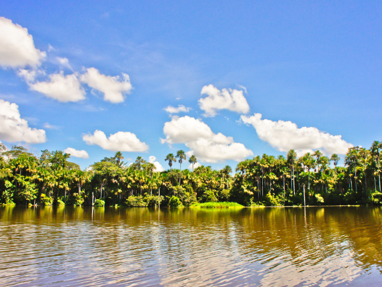 Tambopata-National-Reserve